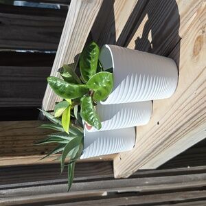 Ribbed Modern Ceramic Pottery 3.5" Planter Set Of Three